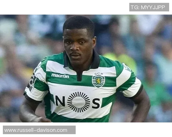 威廉卡瓦略在葡萄牙国家队的后腰角色与战术价值分析